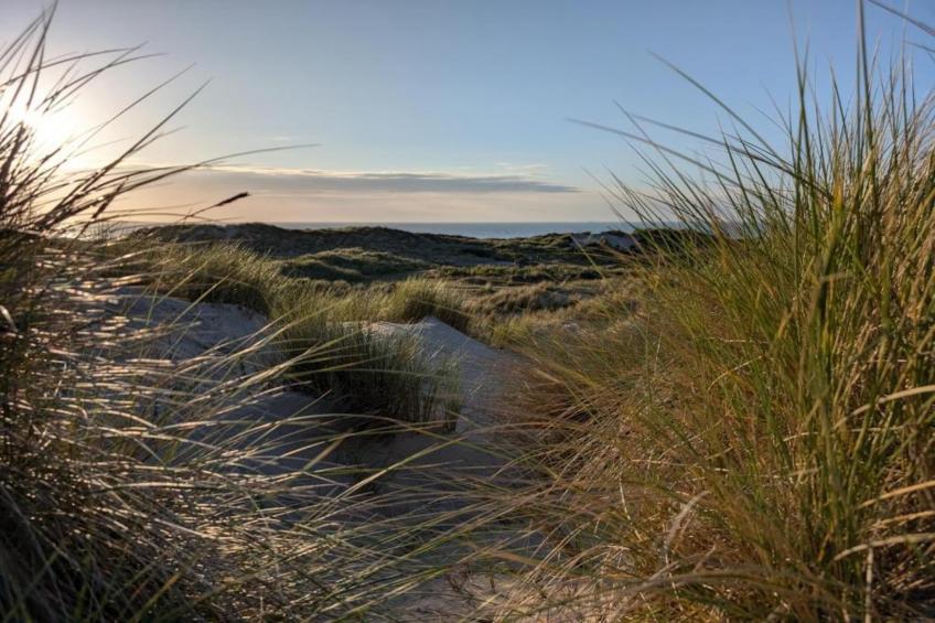 Belle villa avec piscine privée à Narbonne - foto 31