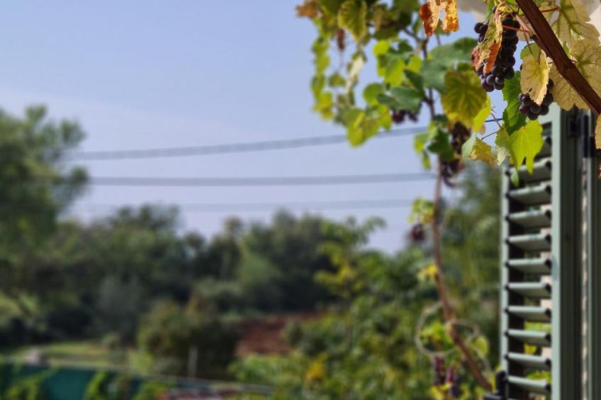 Villa Qualia - Gemütliche 4-Schlafzimmer-Villa mit beheiztem Pool - foto 9