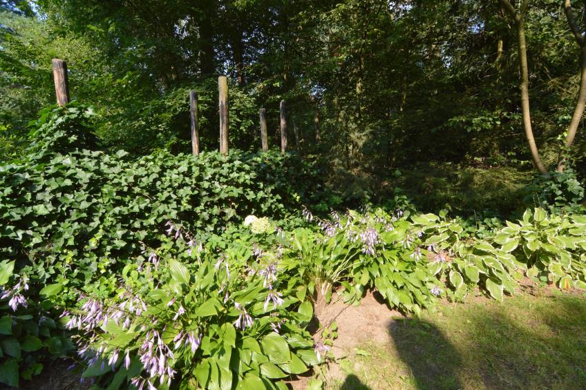 Het Zonnetje - foto 30