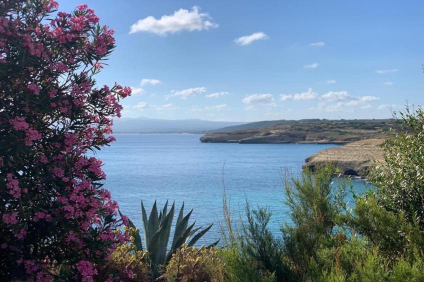 IL DELFINO - foto 39