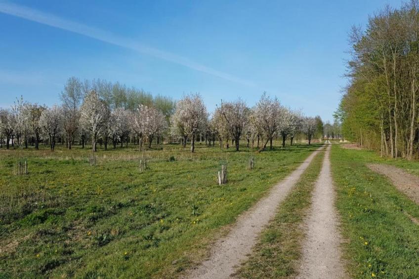 Resort de Parel 15 - foto 32