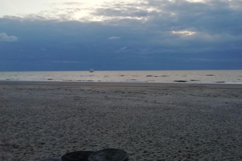 mit Terrasse - foto 24