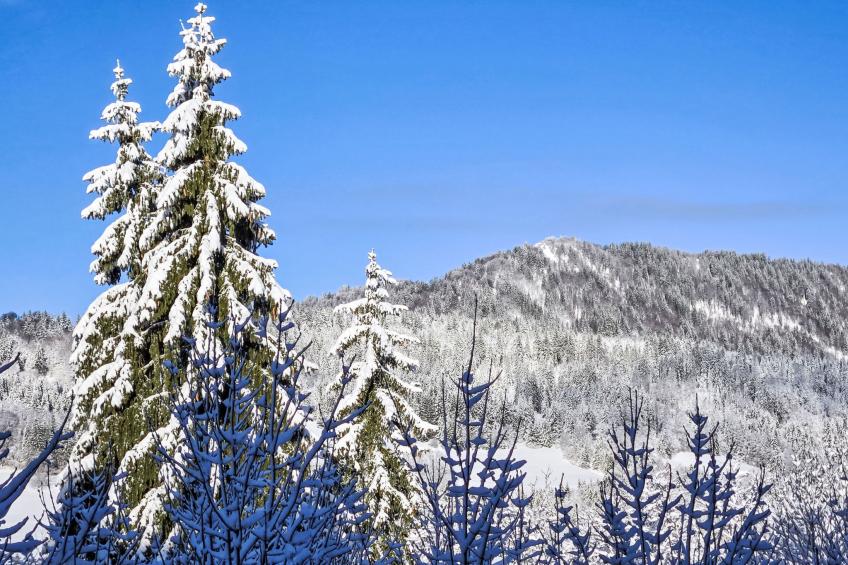 Résidence des Montagnes - foto 27