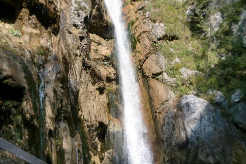 Erle in Feistritz im Rosental - foto 36