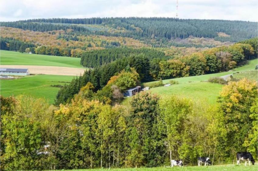 Eschbachtal - foto 28