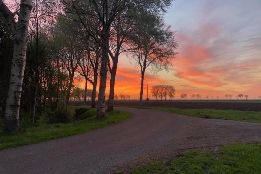 Glamping Resort Lauwersmeer 3 - foto 33