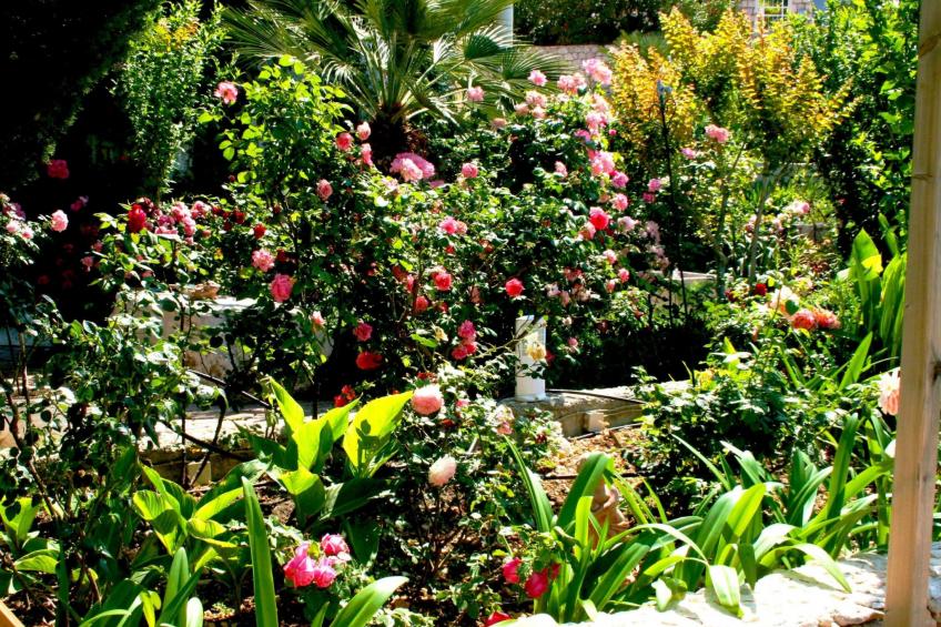 Wohnung in Drašnice mit Schönem Garten - foto 32