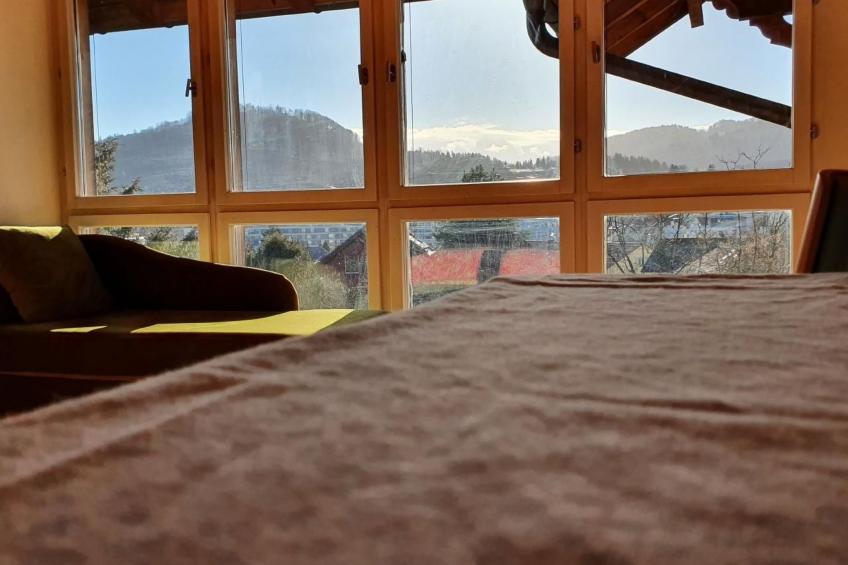 im ruhigen Berner Gartenquartier - foto 3