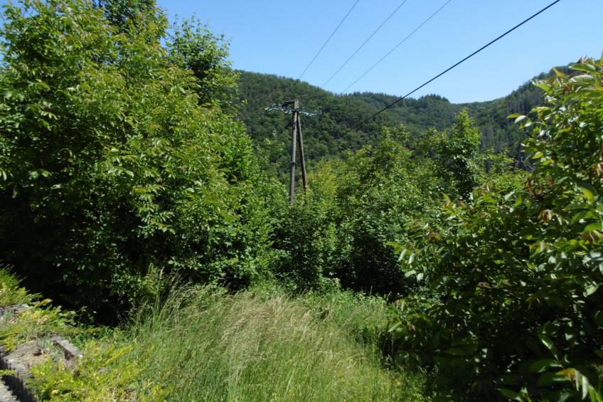 in Waldbreitbach mit Whirlpool - foto 11