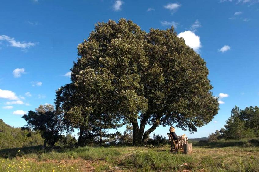 Mas de l'Arlequi - foto 33