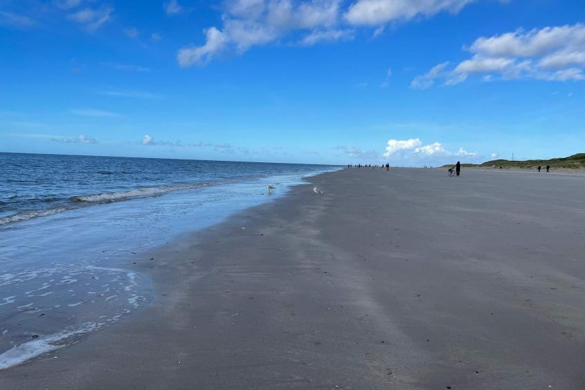 BLÅVANDHUS - foto 9