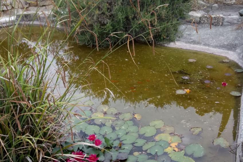 Studio Onida - foto 10