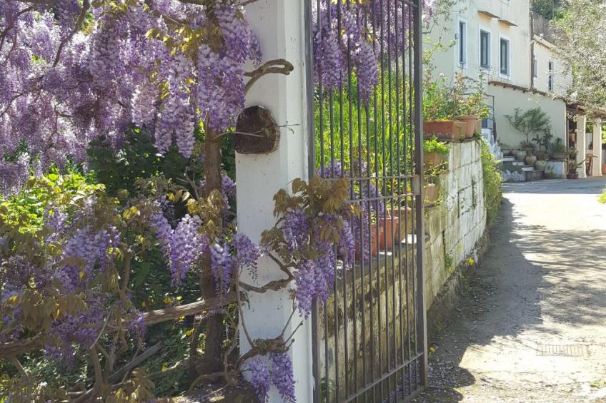 Kleine Wohnung auf einem Bauernhof - foto 3