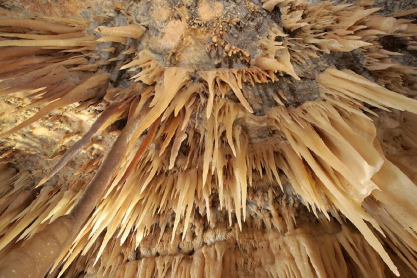 Weißes Haus im Salento - foto 48