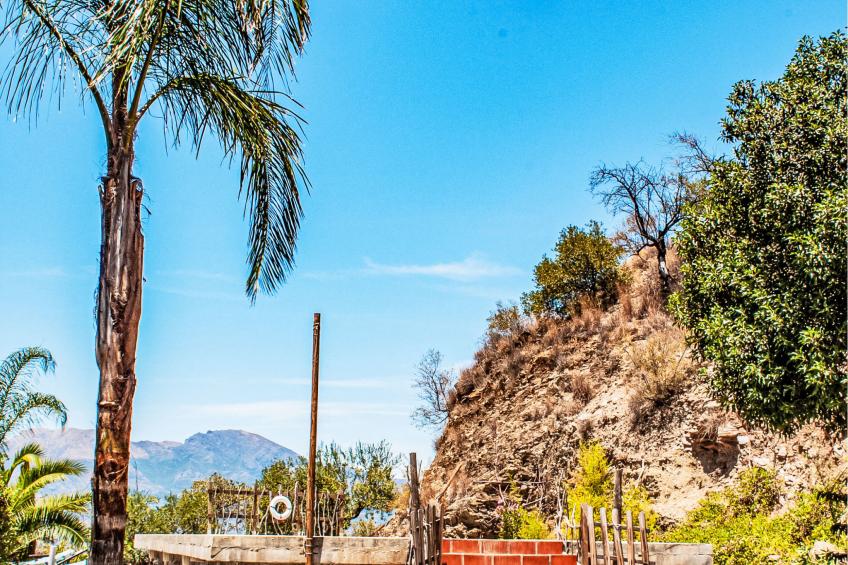 Tortuga - Nido Aguila Blanca - foto 19