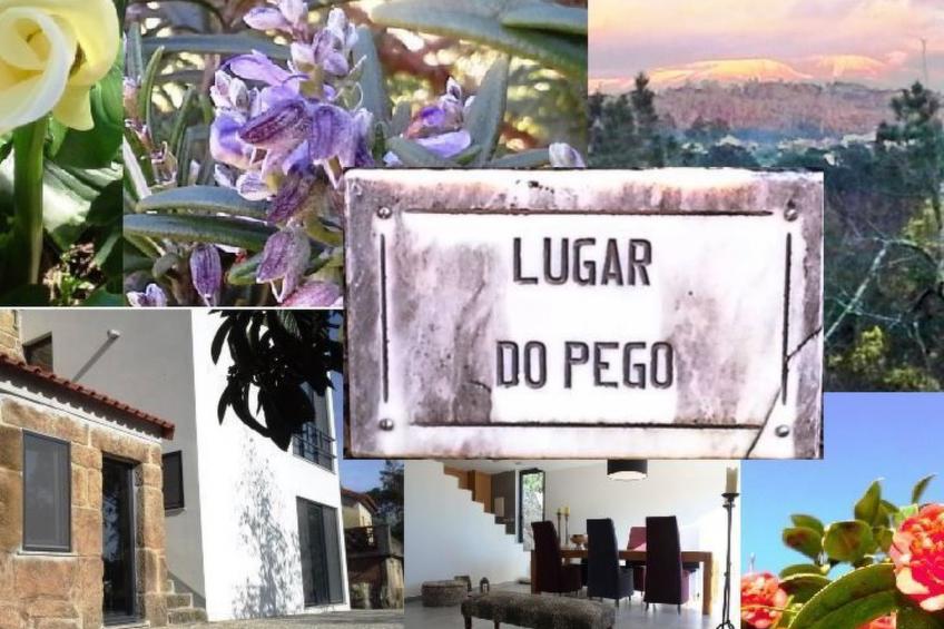 Renoviertes Landhaus für 4 Personen in Tondela - foto 16