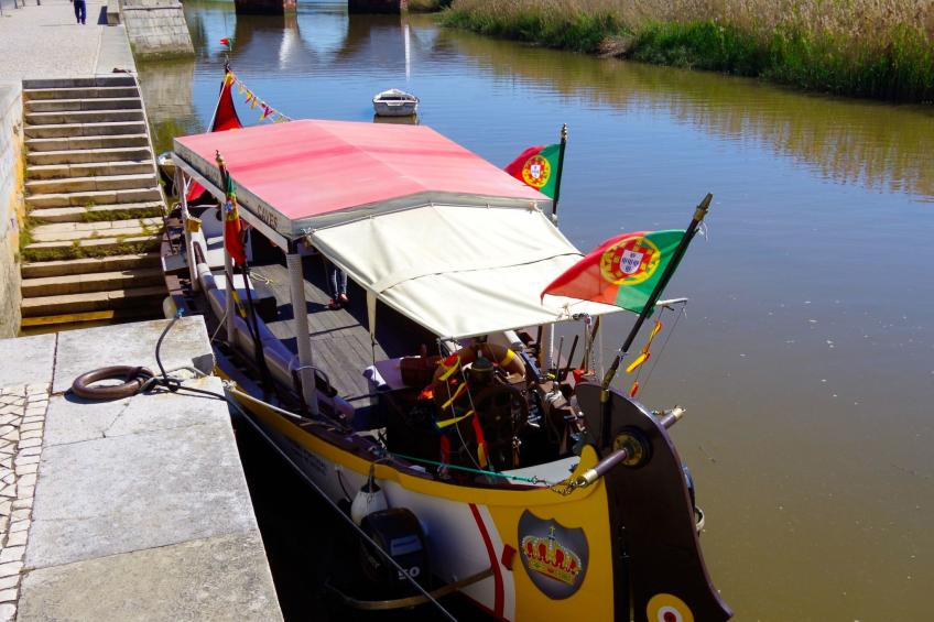 Casa Margarida Azul - foto 20