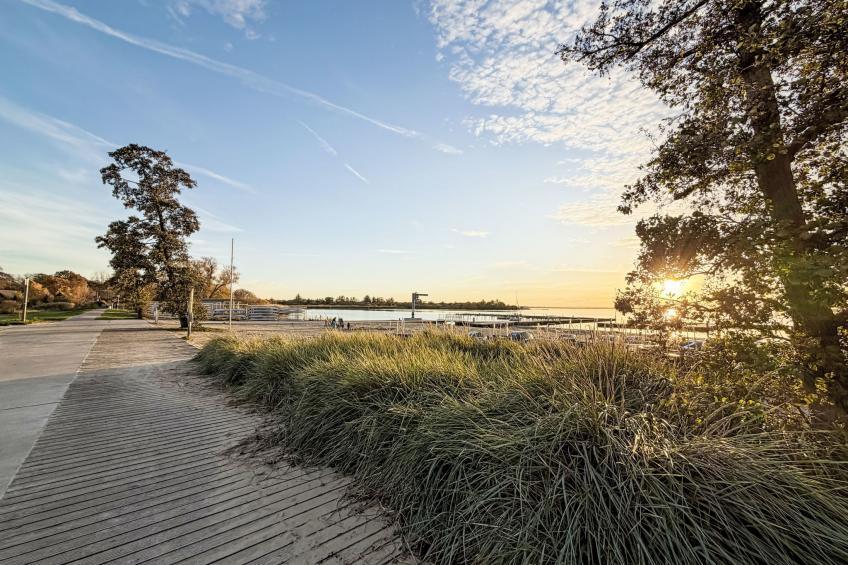 Schulenburg (137) - foto 29