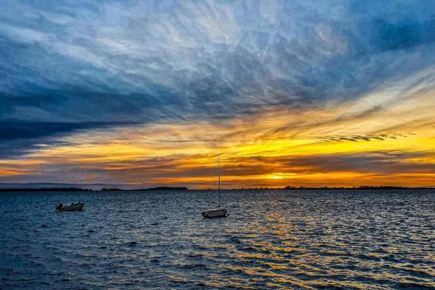 Lachmöwe 2 - foto 33