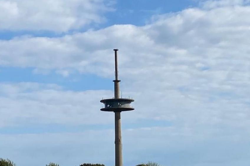 Gartenblick - foto 45