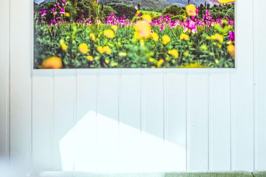 Ferienwohnung Gartenblick - foto 53