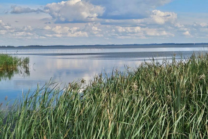 BF-7KCZ8 - foto 24