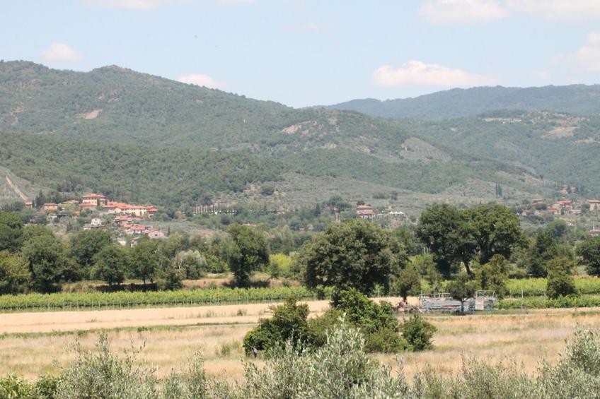 Tillia - foto 12