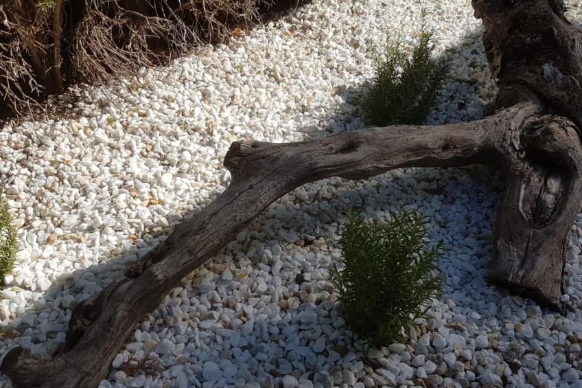 Casa Mila La Sella - foto 32