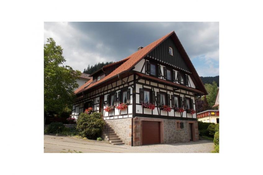 45536 - foto 35
