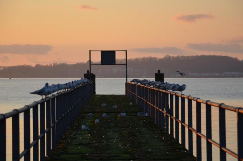 Tolle Wohnung in Krokau - foto 8
