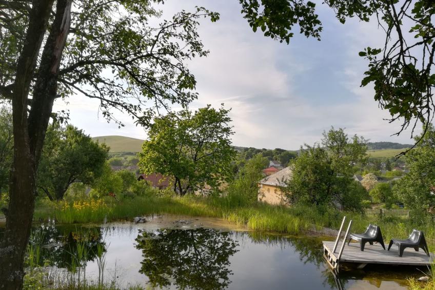 mit biologischem Schwimmteich - foto 27