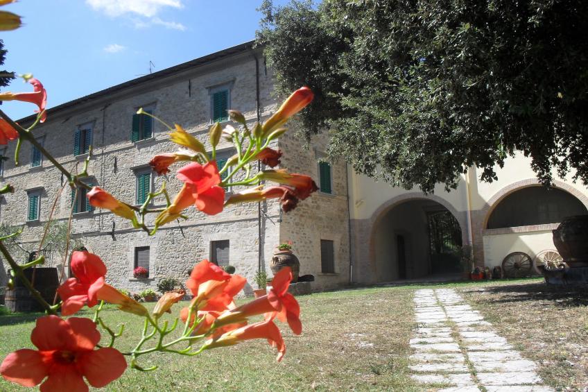 Glicine - foto 34