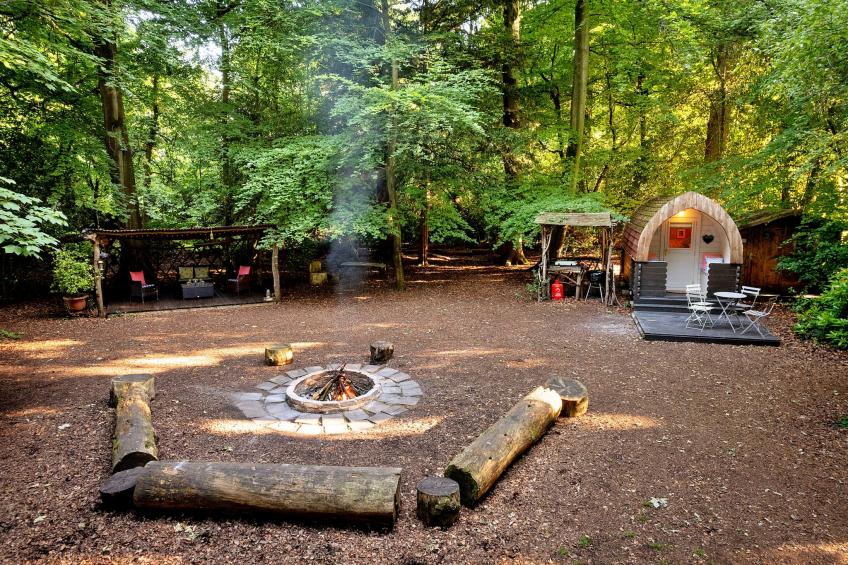 Daisy Glamping Pod - foto 4