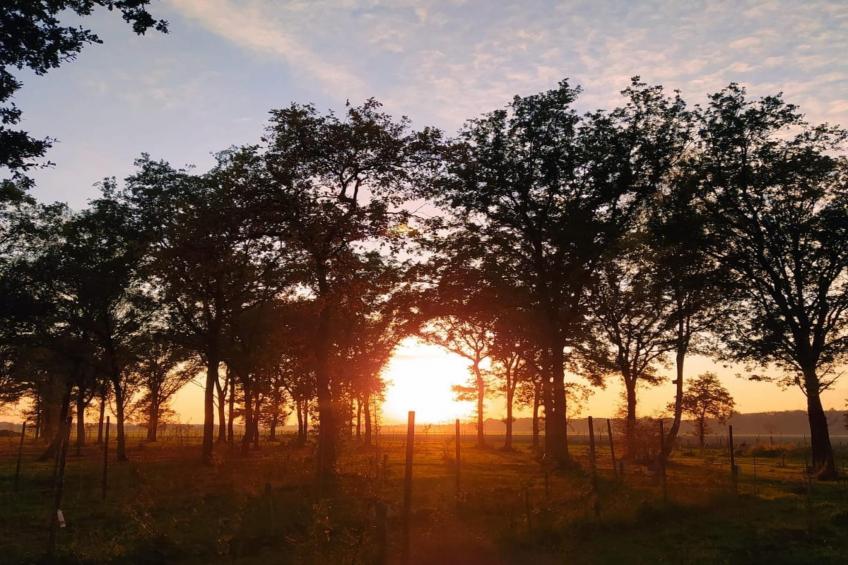 De Ree en de Specht - foto 16