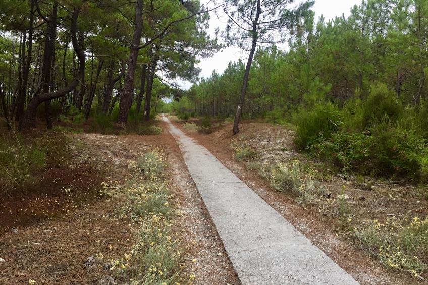 Clos les Pins - foto 30