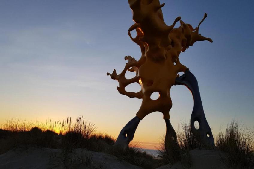 BRUYERES / 1 - foto 26