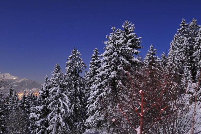 Chalet Mein Traum - foto 18