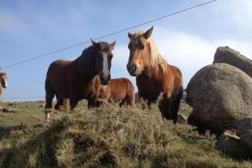 Ebenerdiges Haus am Meer - foto 5