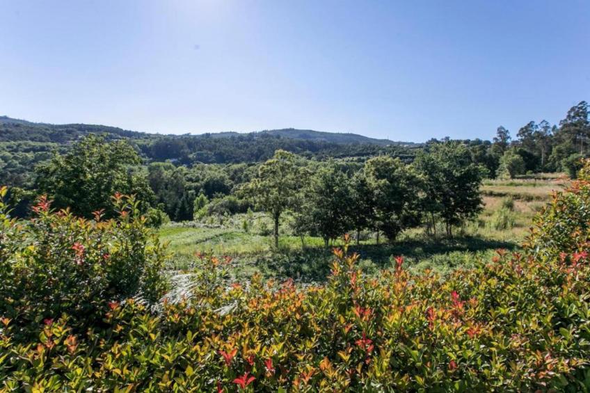 Casa das Laranjeiras - foto 25