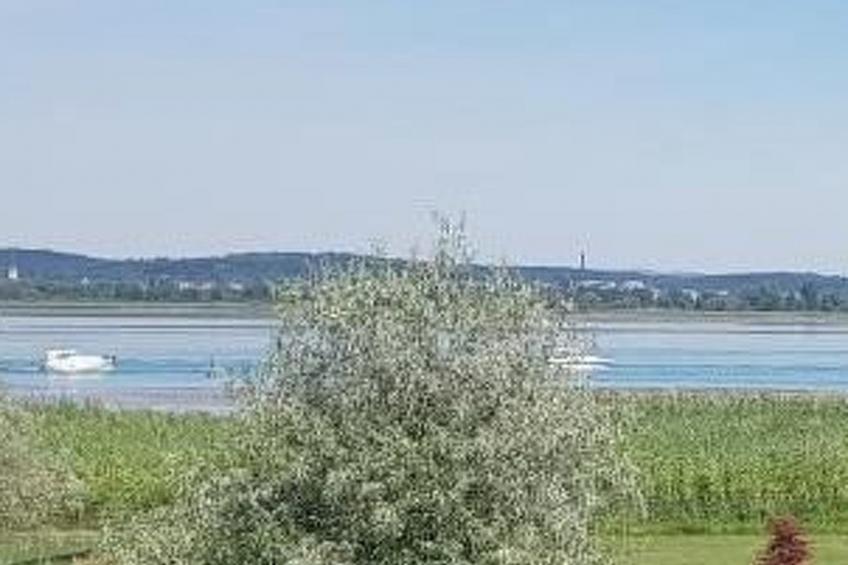 zum Regenbogen in Ermatingen - foto 35