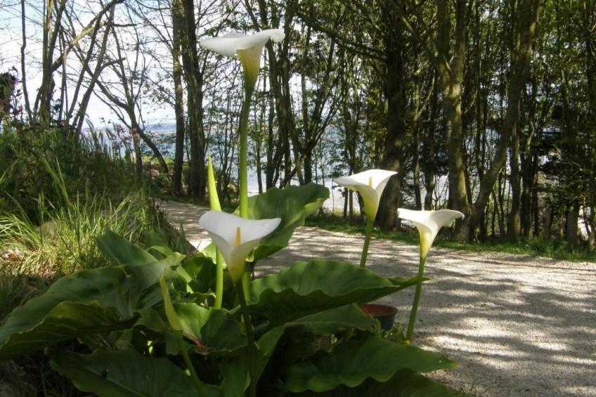 "Tromeal Lasalle" blick auf das Meer. Mit 4 Sternen klassifiziert - foto 31