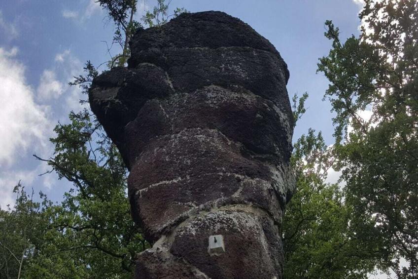 205443 - foto 37