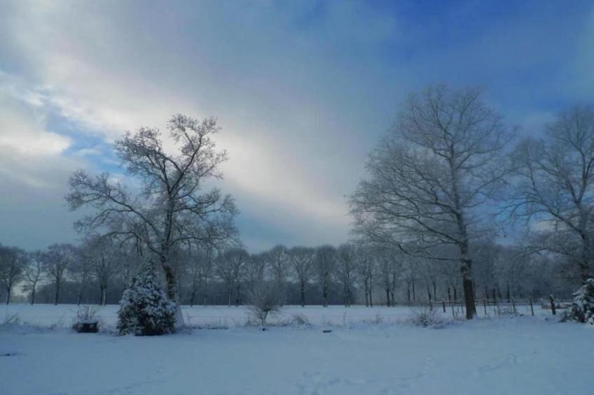 Chalet Egel - foto 14