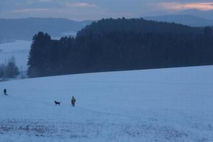 Adele - Allergiker geeignet - foto 29