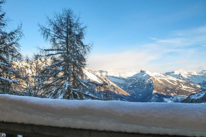 Chalet Michelle - foto 19