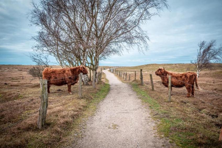 Am Gespensterwald - foto 17
