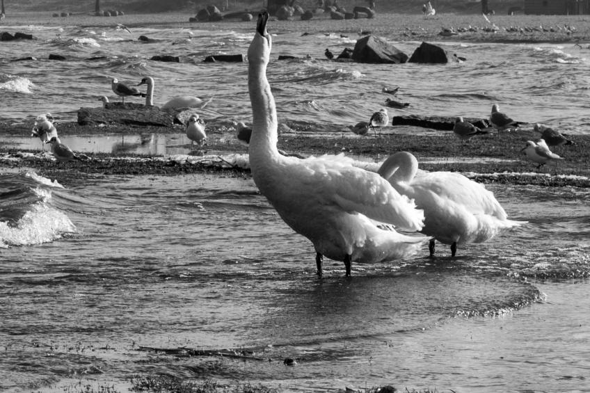 Am Apothekerberg - foto 30