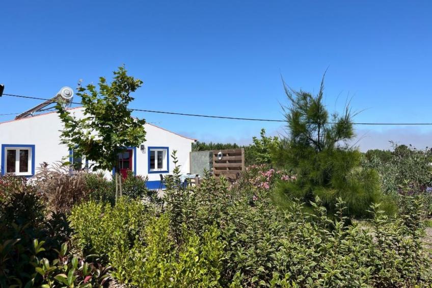 auf dem Lande in der Nähe des Strandes - foto 5