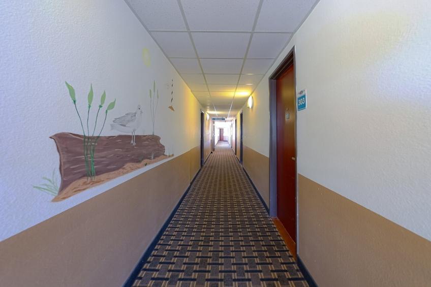 Double Queen Room - Ocean View Pet Friendly - foto 190