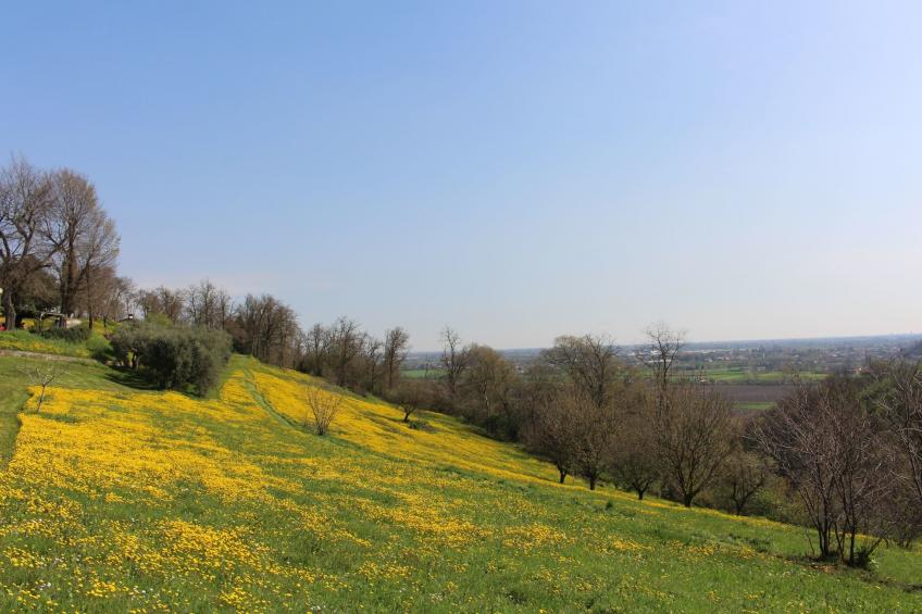 Matello - foto 28